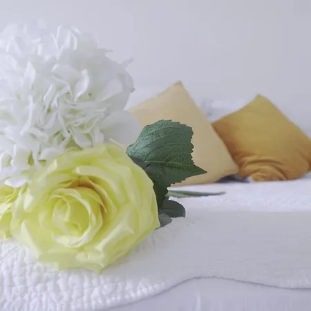 Casa Eugenie De Tante Madeleine Vue Sur Les Montagnes Lägenhet